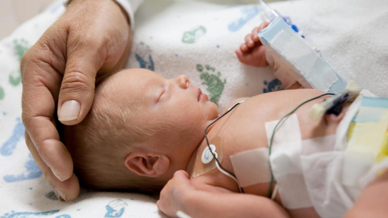 Neonatology shop