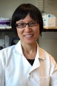 Yiying Zhang, PhD Profile Headshot