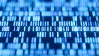 Close up DNA patterns, genetic analysis, DNA sequencing, and genome structure.