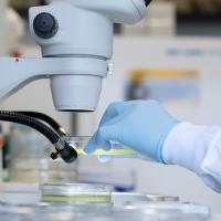 Close up of gloved hand putting slide under microscope.