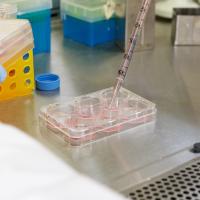 Close up of pipette and other lab equipment.